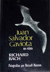 Juan salvador gaviota