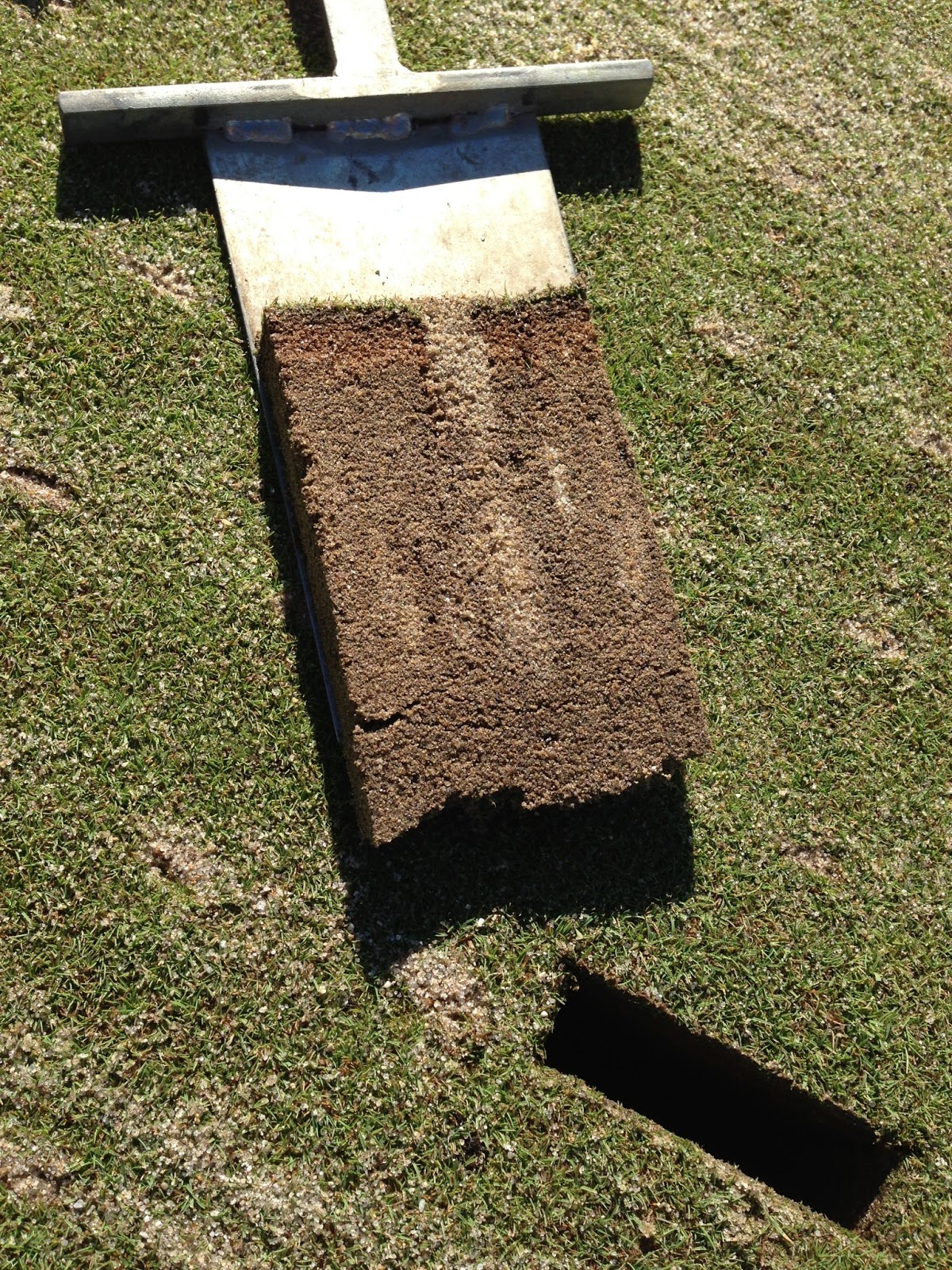 Stanford Golf Course Superintendent's Blog DryJect Aerification on