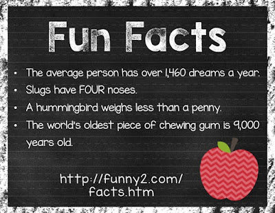 Fun Facts Website | TheHappyTeacher