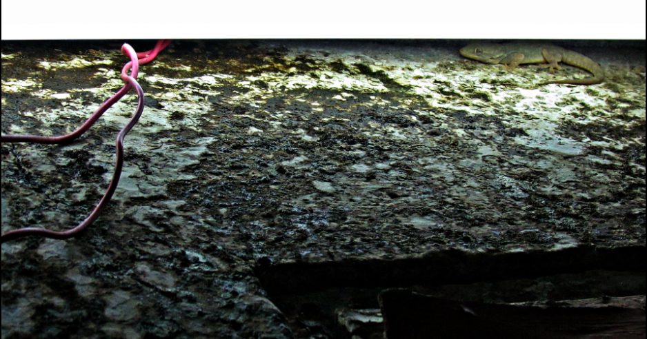 Are you watching closely?