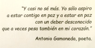 Poesia i gent gran Sentimientos gente mayor en residencia