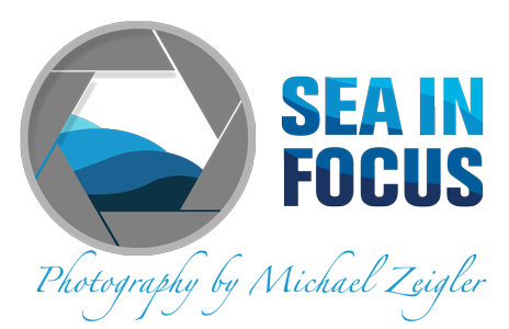 Michael Zeigler | Sea In Focus Blog