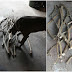 DIY Vine Supports & Sweet Potato Update