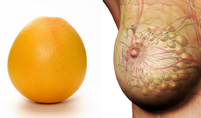 Foods That Resemble The Body Parts They Benefit - funny fail picture dump Foods That Resemble The Body Parts They Benefit - funny and hot pictures