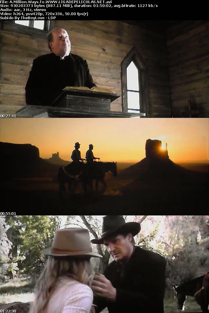 A Million Ways to Die in the West 2014DVDRipXviD by