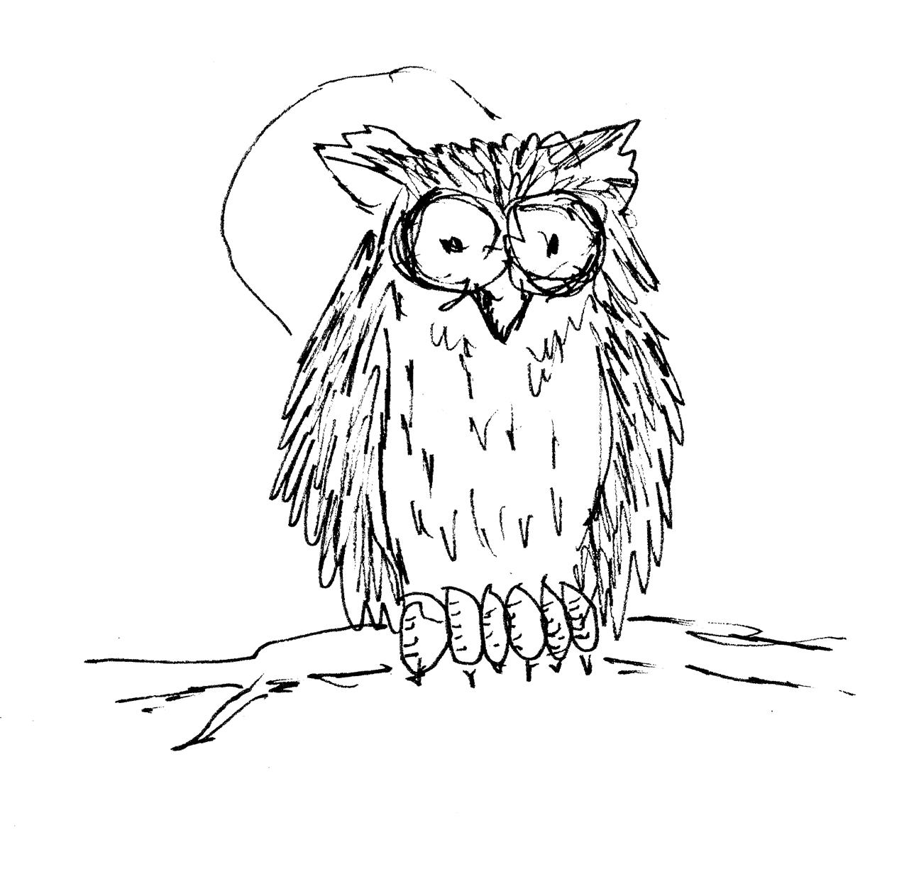 Drawn Owl