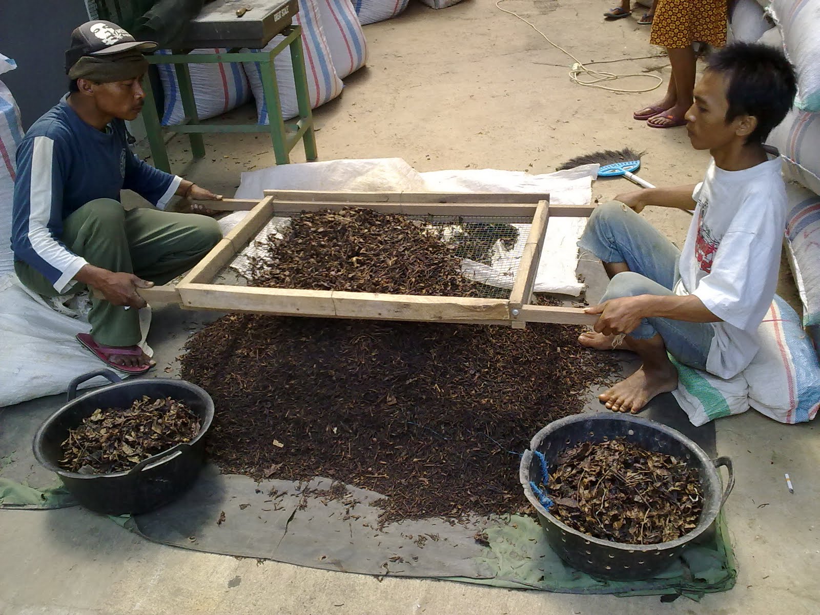 Beli dan jual euro