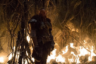The Last Witch Hunter Image