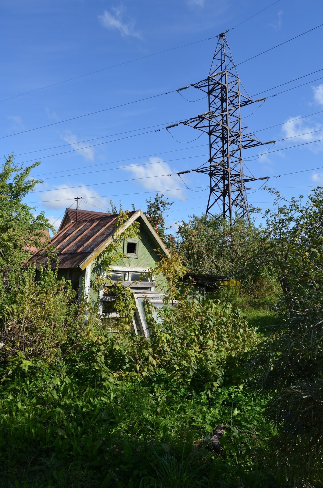 What is sold by the garden book is it worth buying such a dacha What is sold by the garden book is it worth buying such a dacha