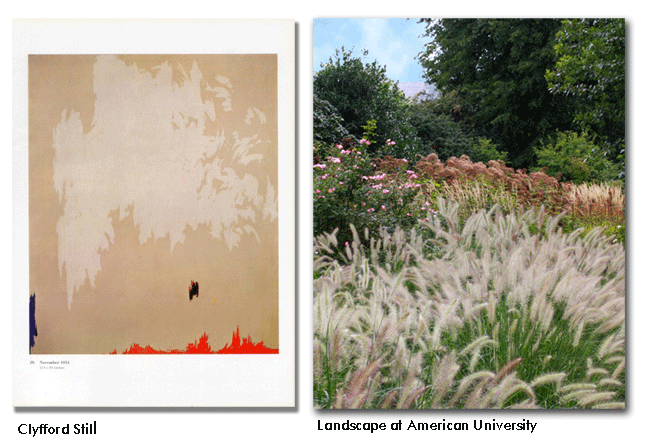 Grounded Design By Thomas Rainer Beyond The Border Part 3