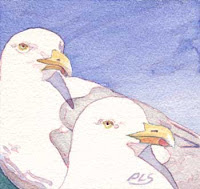 Seagulls at Pemaquid Point I - Watercolor by Paul Sherman Seagulls at Pemaquid Point I - Watercolor by Paul Sherman