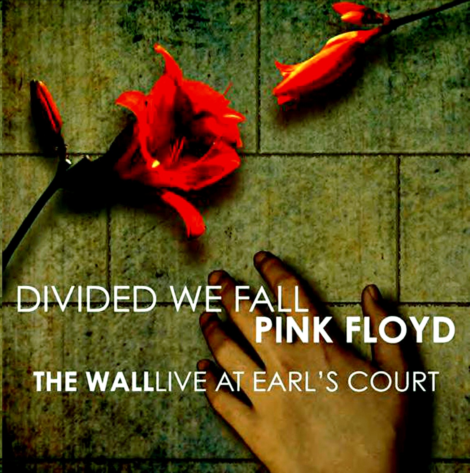 NAS ONDAS DA NET PINK FLOYD "The Wall Live At Earl's Court" 1980