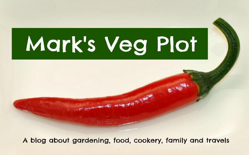 Mark's Veg Plot