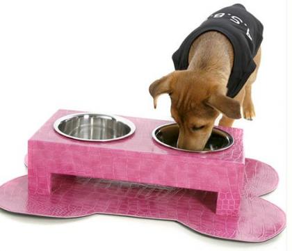 Accesorios Para Perros