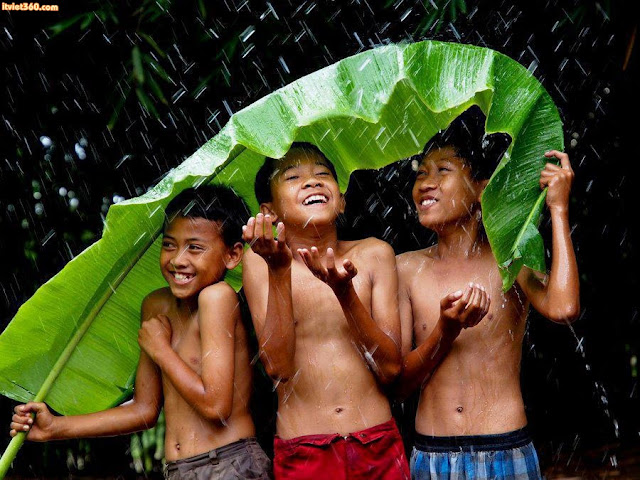 Chùm hình ảnh đẹp nghệ thuật về "tuổi thơ tôi" trú mưa