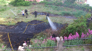 Los bomberos  extinquen el fuego de rodriguez vidal