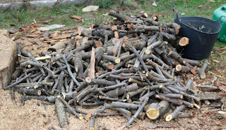 A big pile of small sticks A big pile of small sticks
