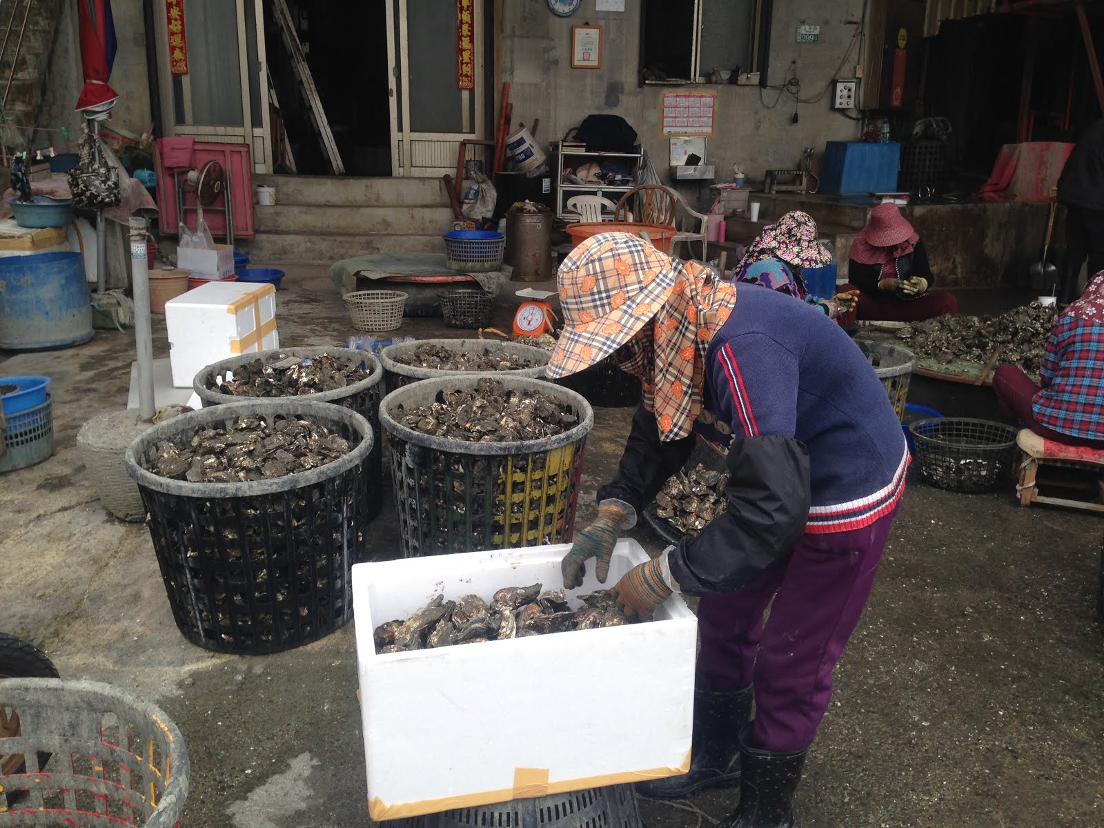 未知小鎮國際資訊站xtwiis 16 2 12台灣的過年 旧正月