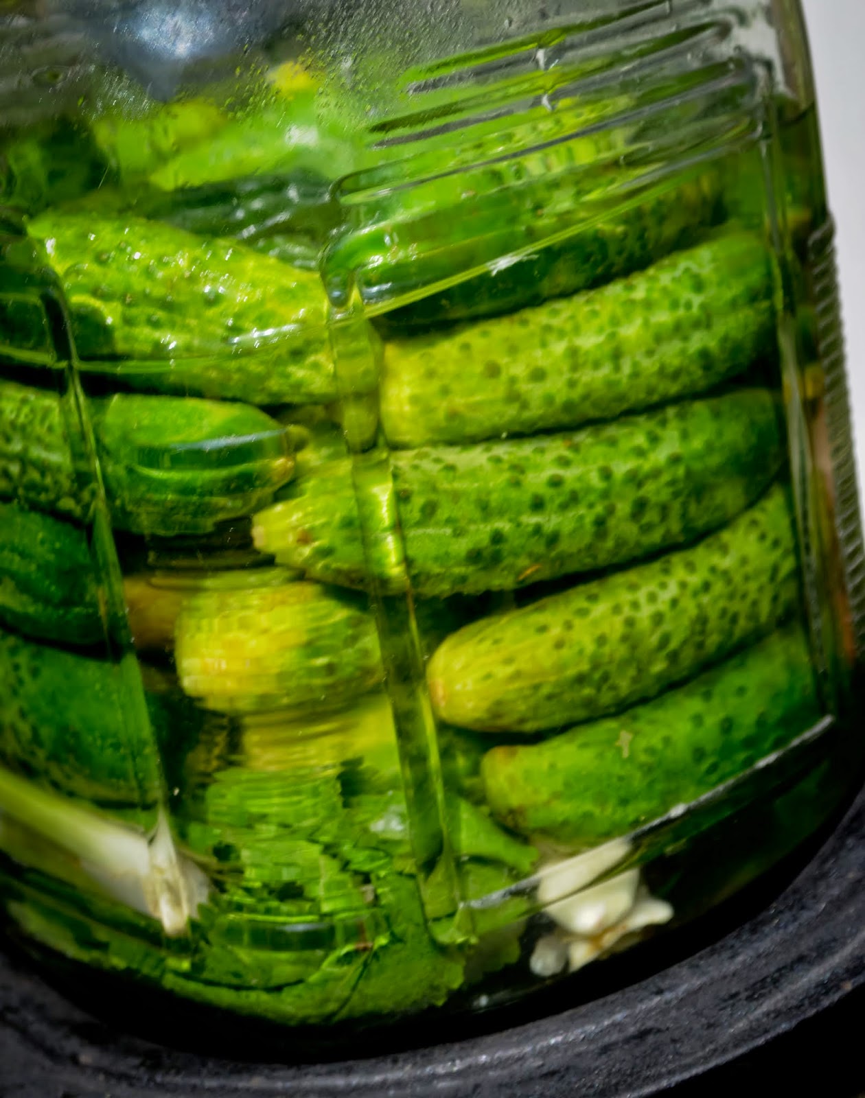 Country Beehive Gherkins in brine /Malosolne
