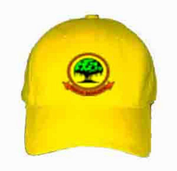 TOPI PARTAI BERKARYA