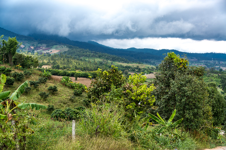 A trip to the neighborhood of the Pai