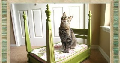 The Treasure Chest Cat And Dog Beds Fit For Royalty