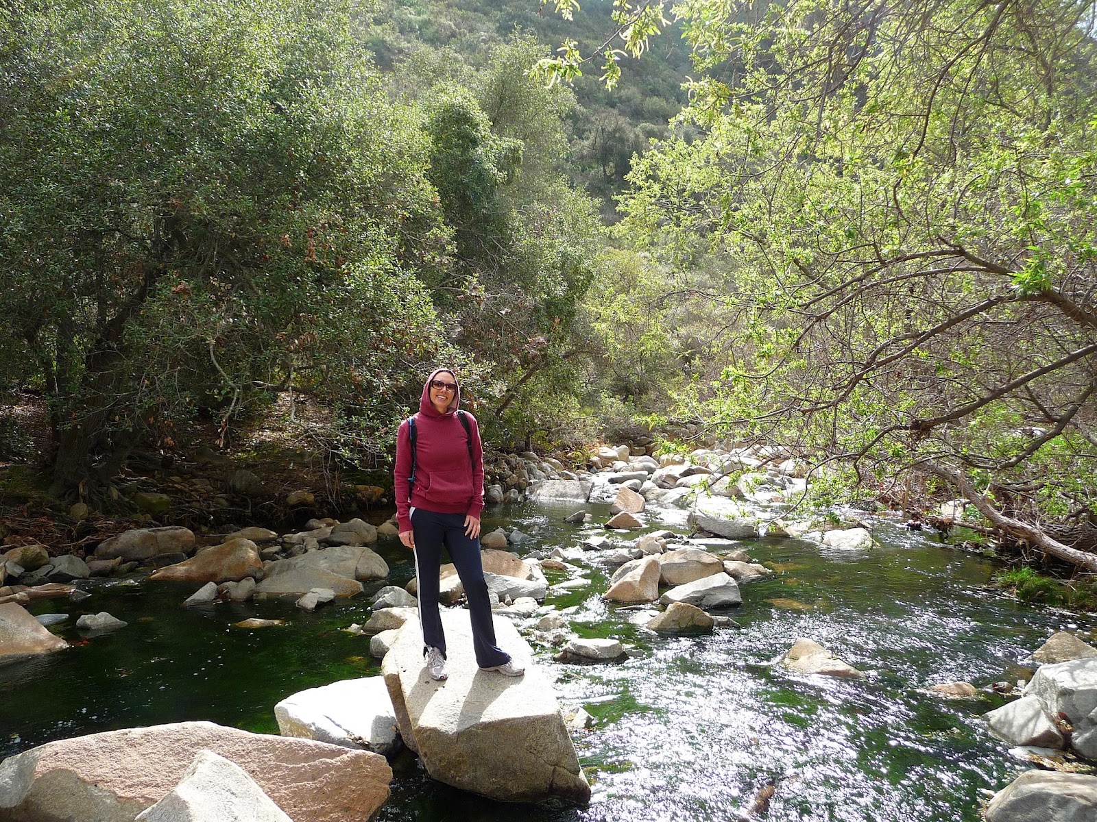 Here and There Elfin Forest