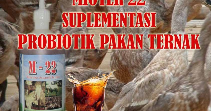 mioter 22 probiotik ayam petelur bebek puyuh burung dan semua jenis unggas mioter 22 probiotik ayam petelur bebek puyuh burung dan semua jenis unggas