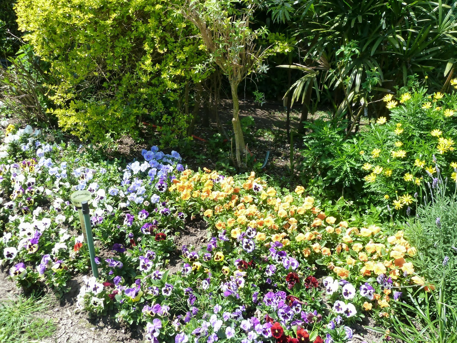 ARTE Y JARDINERÍA : BASES DE DISEÑO DE JARDINES PARA LA CREACIÓN DE UN