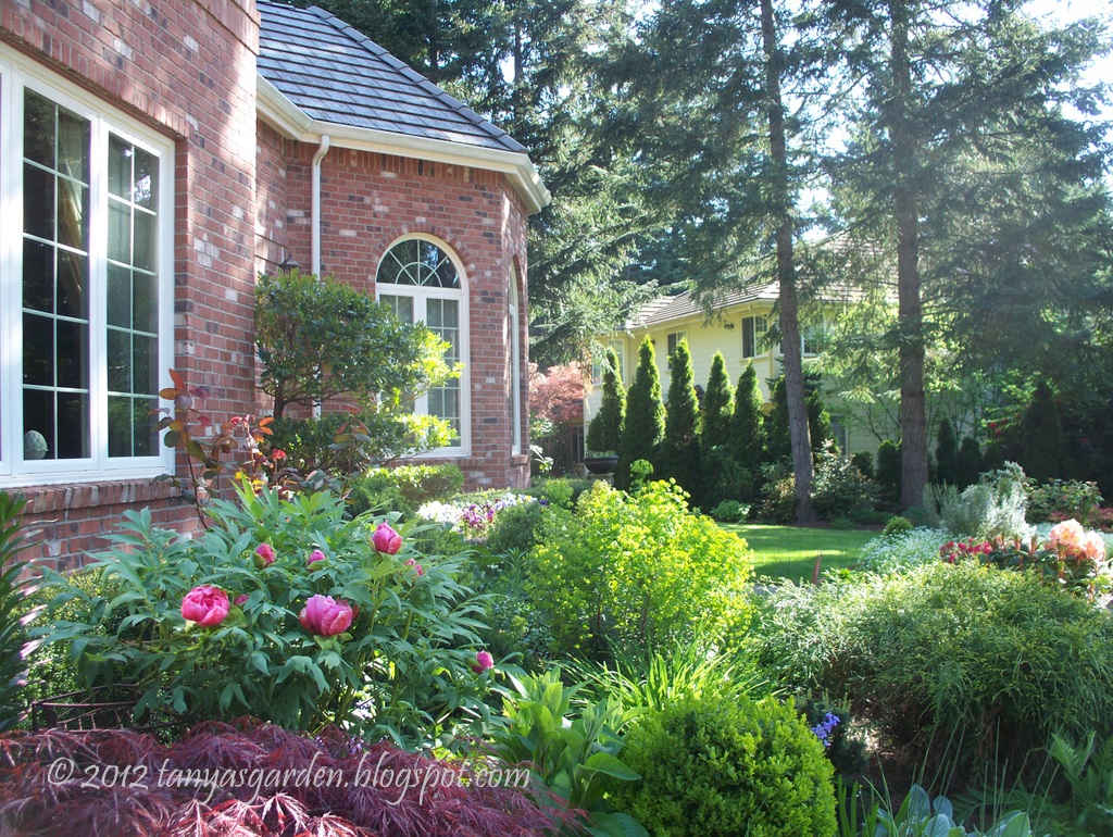 View Of Flower Plants In Front Of Town Houses In Row Stock Photo
