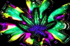 Trippy weed backgrounds |Funny & Amazing Images