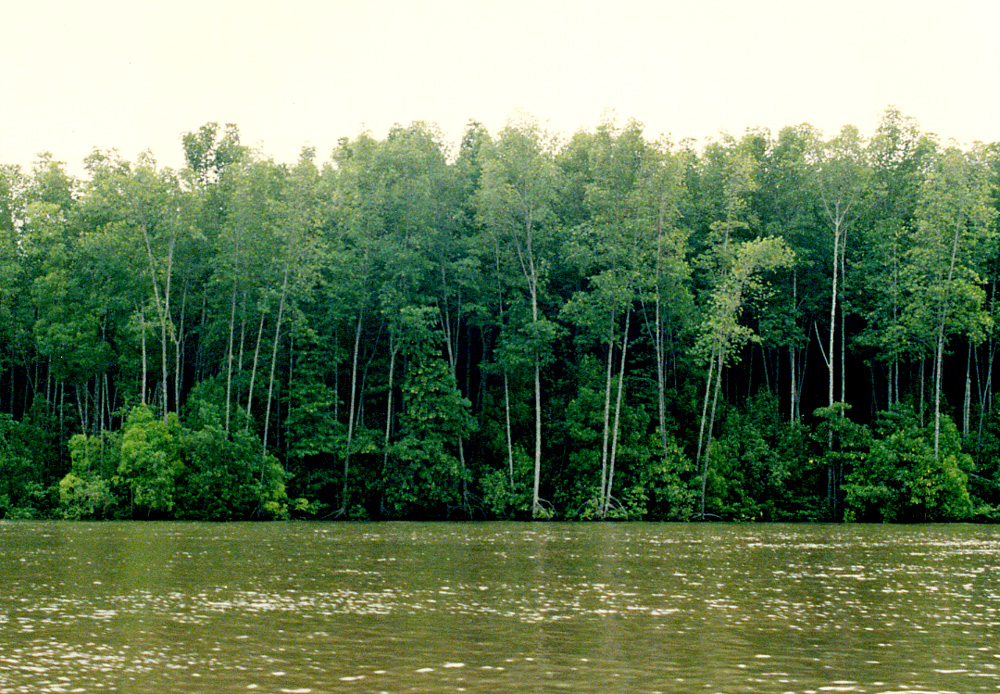 WIZ KHALIFA JOHN CENA - BREAKS LYRICS