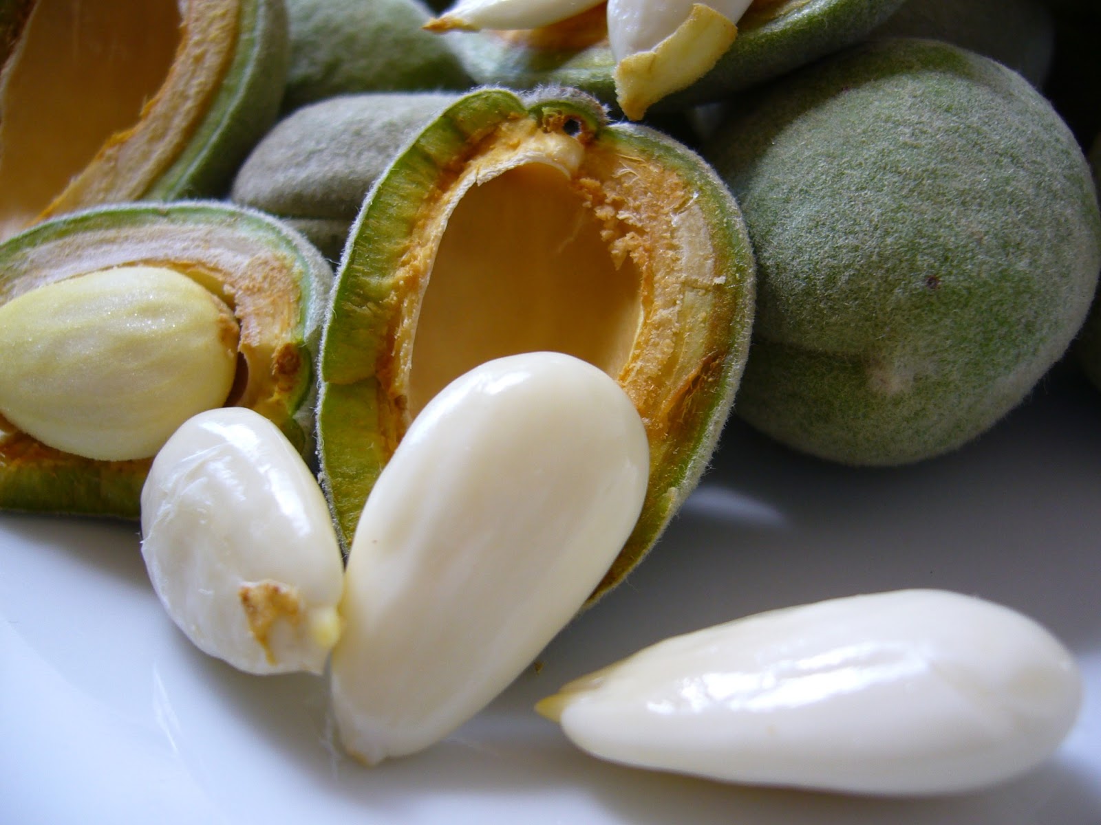 Yoga, Health, and Cooking with Emmalyn Soaked Peeled Almonds