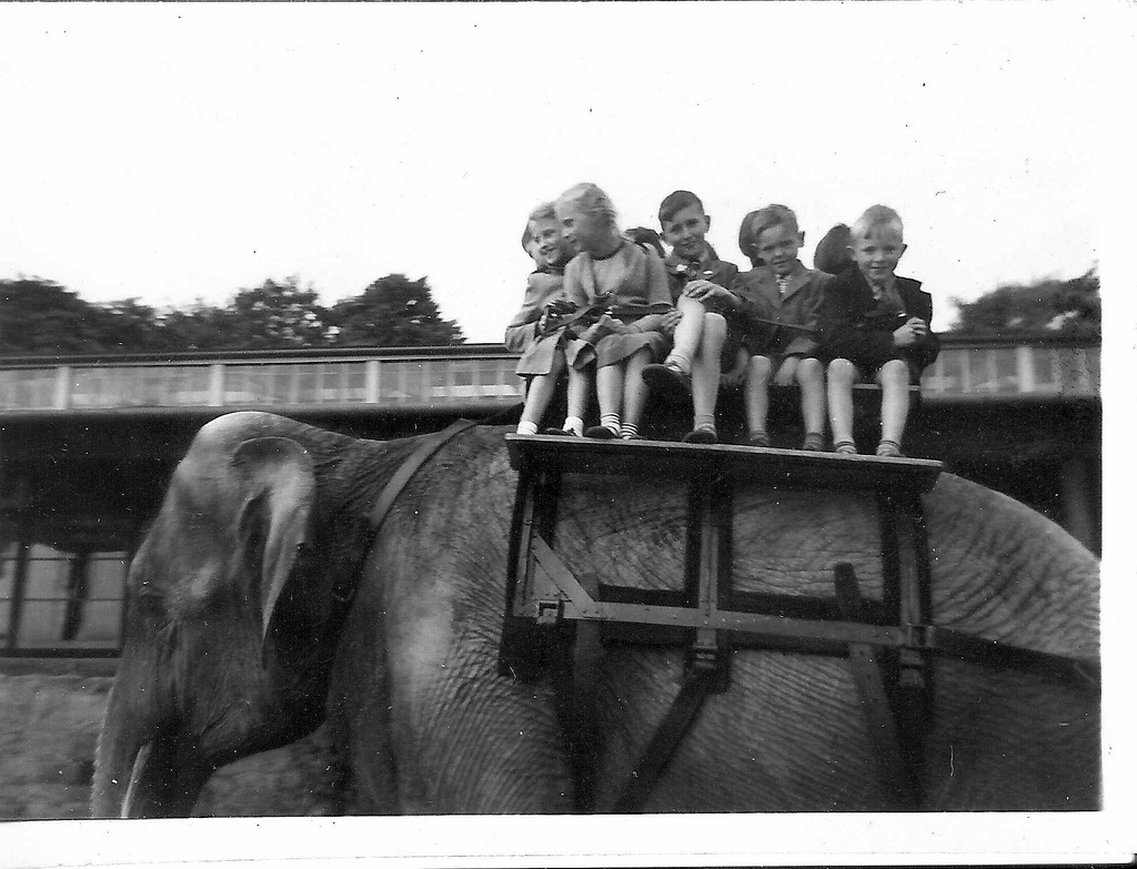 The Circus "NO SPIN ZONE" 03/30/11