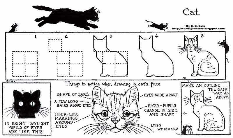 How To Draw a Halloween Cat Thrifty Scissors