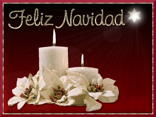 MIS RECETAS DE COCINA: FELIZ NAVIDAD!!