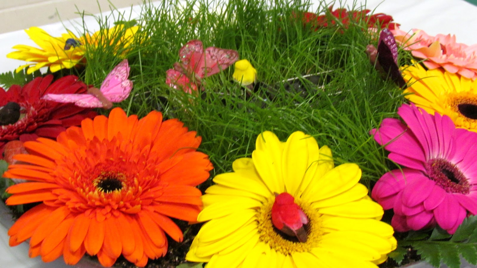 Nyack Backyard Garden Club of Nyack Centennial Flower Show