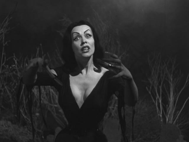 Vampira Pictures