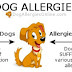 Τι εννοούμε με τον όρο Αλλεργία στο σκύλο;...