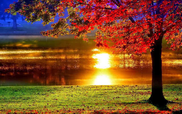 Lakeside Sunset Reflection
