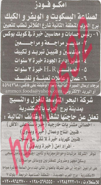 وظائف خالية فى جريدة الوسيط الاسكندرية السبت 24-08-2013 %D9%88+%D8%B3+%D8%B3+8