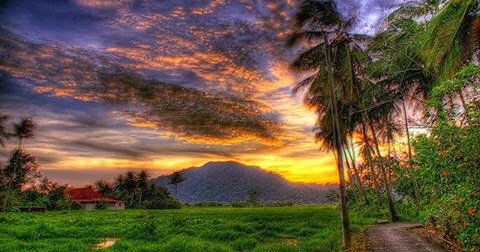 Gambaran Lukisan Alam | Lukisan Alam