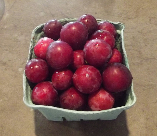 Spoon and Ink Visions of Sugar Plums... in July? What’s cooking? Cold