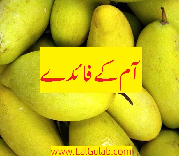 Mango Benefits In Urdu Aam Ke Faide Hindi Mango Ki Taseer Fawaid Urdu