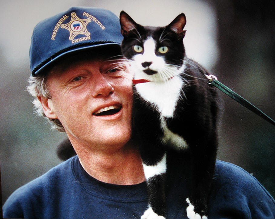 The Charmed Life Famous Black Cats in History
