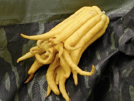 Nutrition+month+2011