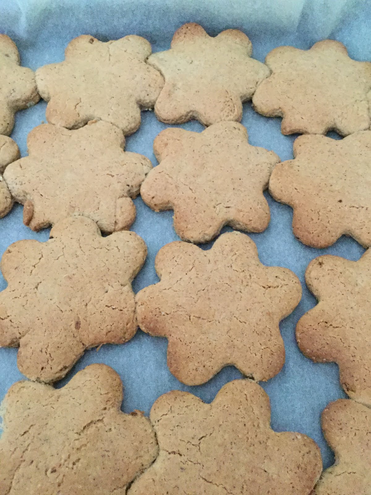 Ginger Cookies