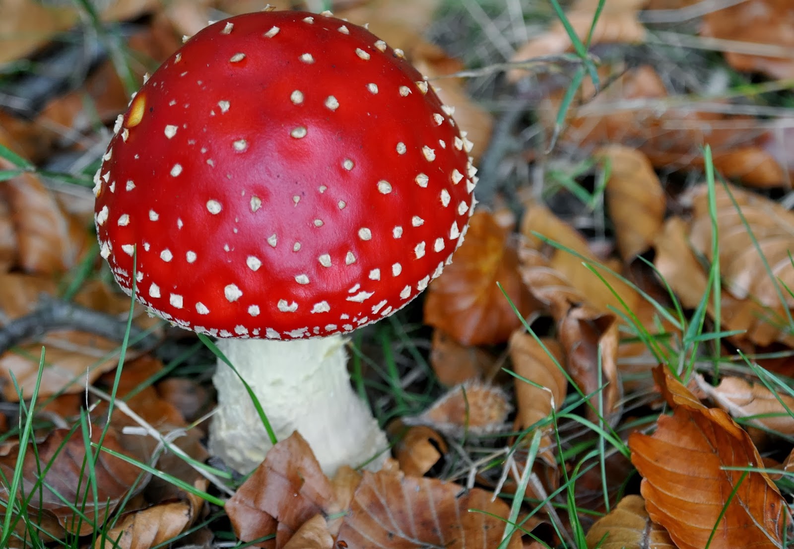 Heen en terug naar de ardÃche: oktober 2013