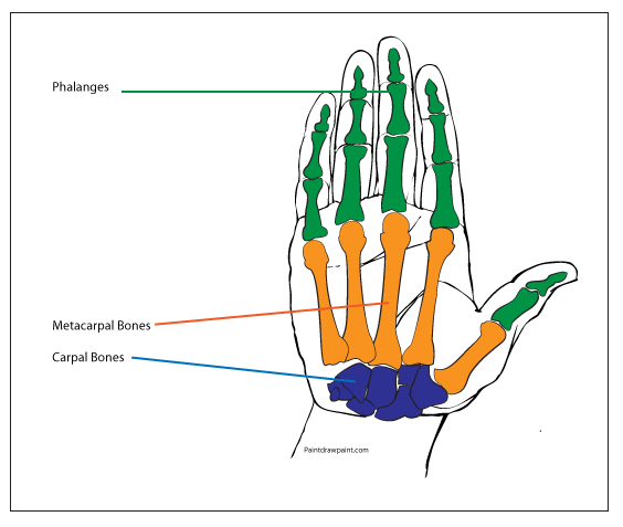 apologise, but, opinion, you