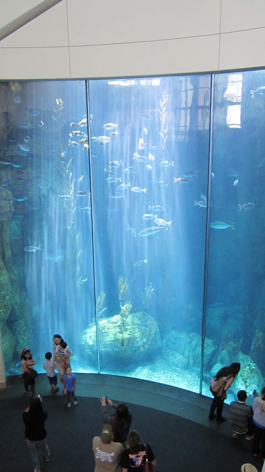 The Ricker Report Field Trip to the Aquarium of the Pacific